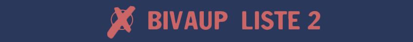 Wahlbanner